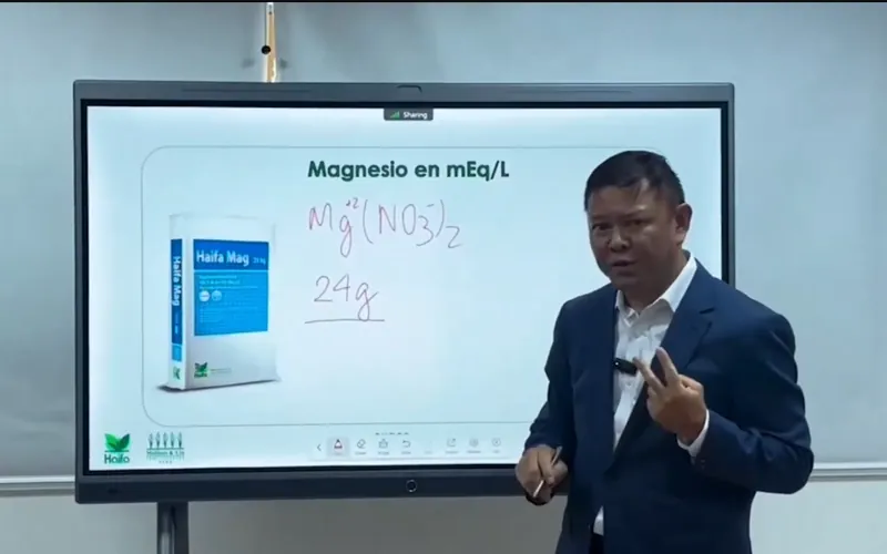 Webinars